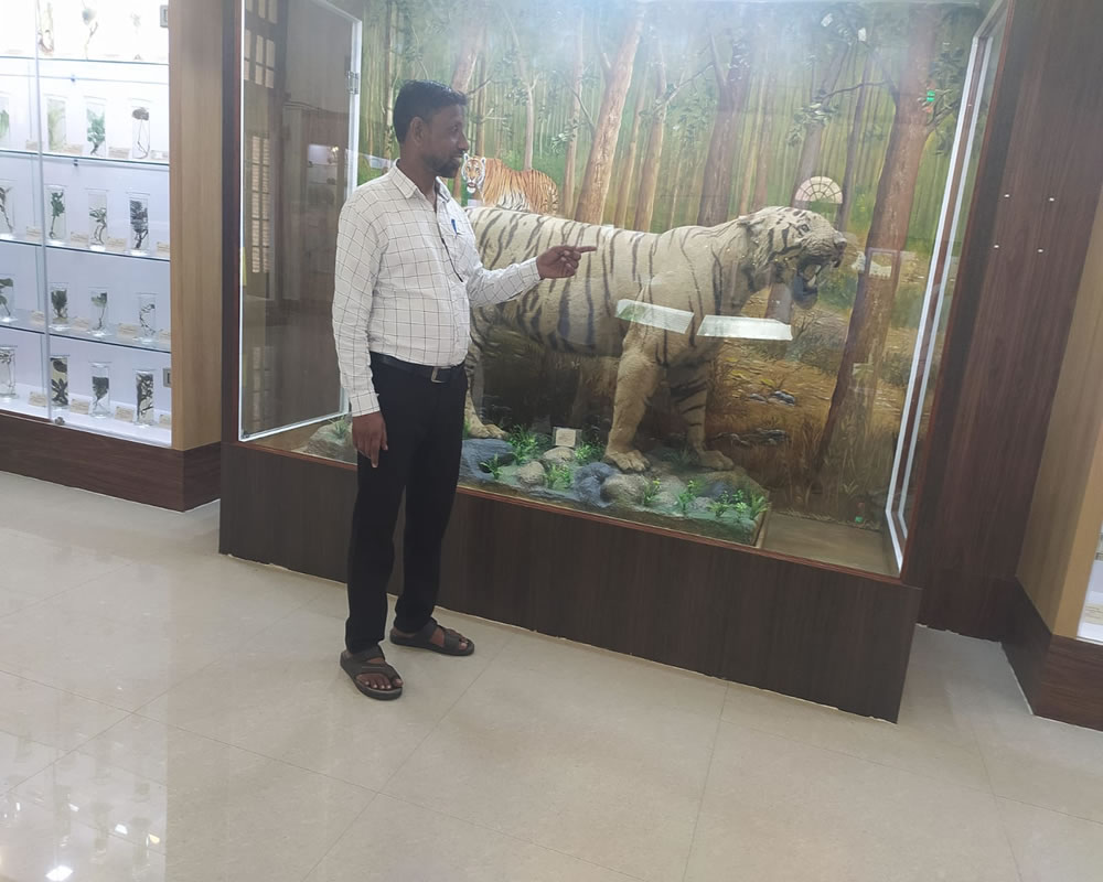 Shakshik Bharman FRI Dehradun